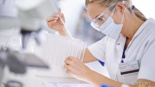 巴中试管代生代怀全流程揭秘：从胚胎培养到成功分娩的真实经历